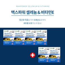 시서스갑상선기능저하