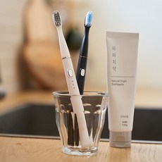 식스비전동칫솔