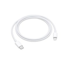 Apple 정품 USB C 충전 케이블 1m, 1개