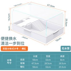 레이저백거북이