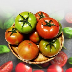 못난이토마토-추천-상품