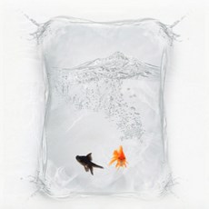 으뜸온수찜질기