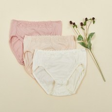 애니바디팬티