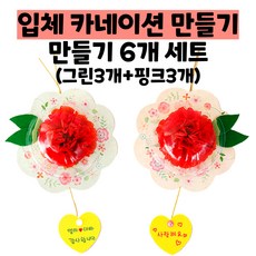 입체카네이션 만들기 6개세트/어린이집 카네이션 만들기/유치원 카네이션 만들기/어버이날 카네이션 만들기 키트 세트/어린이집 카네이션 카드 만들기