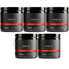 토니크 트리뷸러스 스테로이드 사포닌 1300mg 240베지캡슐 5개