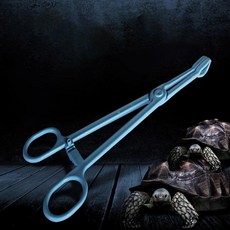 파란 파충류 뱀 테라리움 도마뱀 플라스틱 집게 트위저 애완 동물, 1개, 2.19CM