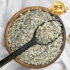 힘찬농부오달봉 국산 오색보리 (흑보리 청보리 늘보리 찰보리 늘찰), 1개, 4kg(2kg 2봉)