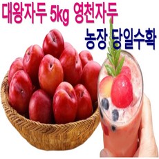 영천왕자두