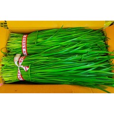 (오일장 상회) 국내산 부추 정구지 1단(500g) 2단(1kg) 3단(1.5kg) 내외, 500g, 1개