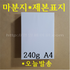 눈금마분지