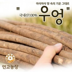이마트우엉채