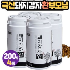 제주40tv