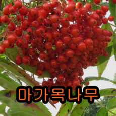 d3d8109114a92ff8fc1496a1bda2b5a109dc4729ac022370ca815ee9b451.png