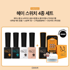 헤이스위치젤