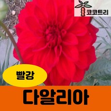 72cdf57bed5cb882dc75db0427c8cd06d560cb23aaacd833fe03f794e38a.jpg