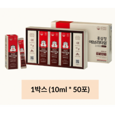 정관장 홍삼정 에브리타임 소프트 + 쇼핑백 세트, 500ml, 1개