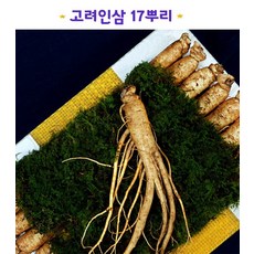 초른