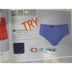 트라이인견브리프