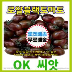 [OK씨앗] [로얄블랙토마토] 토마토씨앗 종자(오케이씨앗), 100립