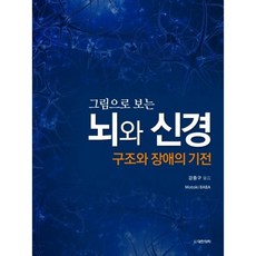 의학뇌구조그림