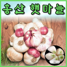 홍산마늘-추천-상품