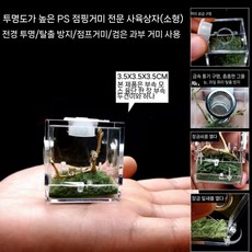 깡충거미 사육 상자 거미 귀뚜라미 항아리 사마귀 등반 대나무 요정 노란 메뚜기 고투명 노래 곤충 생태 상자(뚜껑 포함), 이끼 점핑 거미 상자(소형)