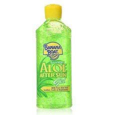 바나나보트알로에슈딩겔