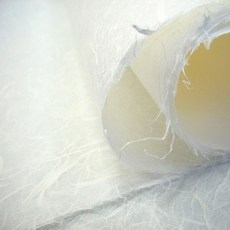 신한벽지천장지