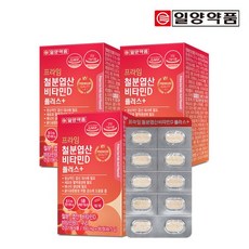 빈혈철분제추천