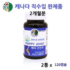 콘드로이친 가루 분말 관절엔 콘드로이친 1200 식약처 인증 콘드 로이틴 콘트 로이친 콘도 로이친 라이친 글루코사민 황산염 msm nag 캐나다 연골관리복합식품 식약청 인정, 2개