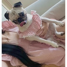 강아지 커플 잠옷 사계절 애견 실내복 견주 커플룩 댕플룩, 강아지옷, 1개