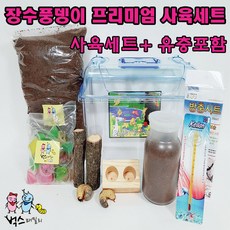 장수풍뎅이 사육세트, 1개