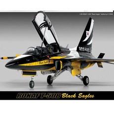 블랙이글스뱃지