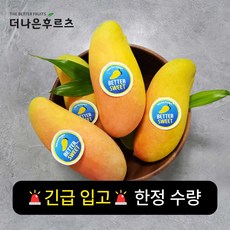 항공 직수입 특품 고당도 태국 마하차녹 망고, 1개, 5kg