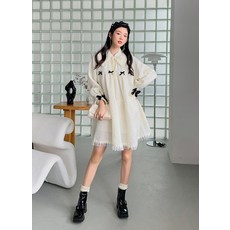 차홍쉬폰소프트왁스