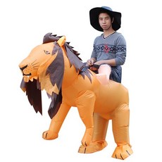 코스하프집