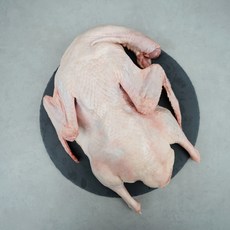 국내산 냉장 통오리 23호 2.3kg 내외 백숙용 생오리 1마리 오리고기 오리백숙, 1개