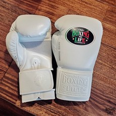 노복싱노라이프