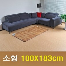 무전자전기모노륨