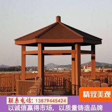 육각정자