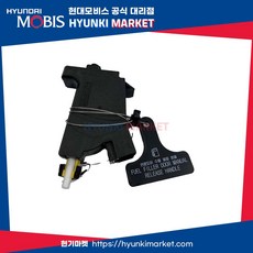 오프너 연료 필러 도어 (815902W000), 1개