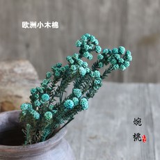 98fc8b0084aa240ca6a39e7847920b29021cf507a3ac439d0a3dd7209915.jpg