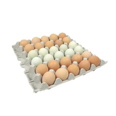 9d28e23e1ac4b9a539e87ae5f5b8415904eff195d5a4a8ba711fecea122c.jpg