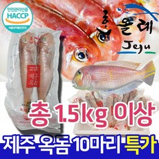 수입산갈치
