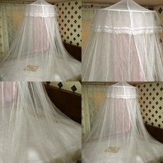공주레이스캐노피
