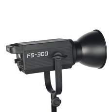 난라이트fs300