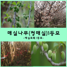 8102eefd9b006d0b92d0c139f1842ee491d59aa20315ff4dbb4040f67f7a.png