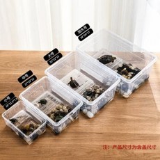 육지거북이 소라게 달팽이키우기 가가호 파종사육함 뺑소니사육함표범문수궁, 09 스몰 사이즈 양서함 34개 (컬러 비고