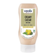 비바 샐러드 드레싱 시저 77% 무지방 300g, 1개