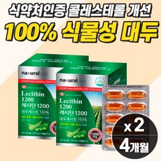치매예방약
